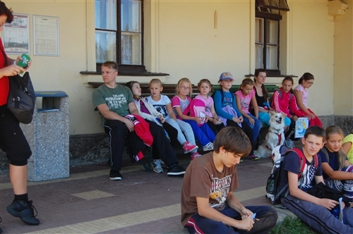 Obrázek v galerii